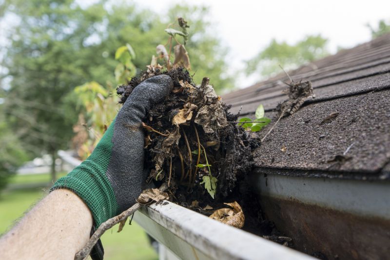 Clogged Gutter Clearing in Baltimore, MD