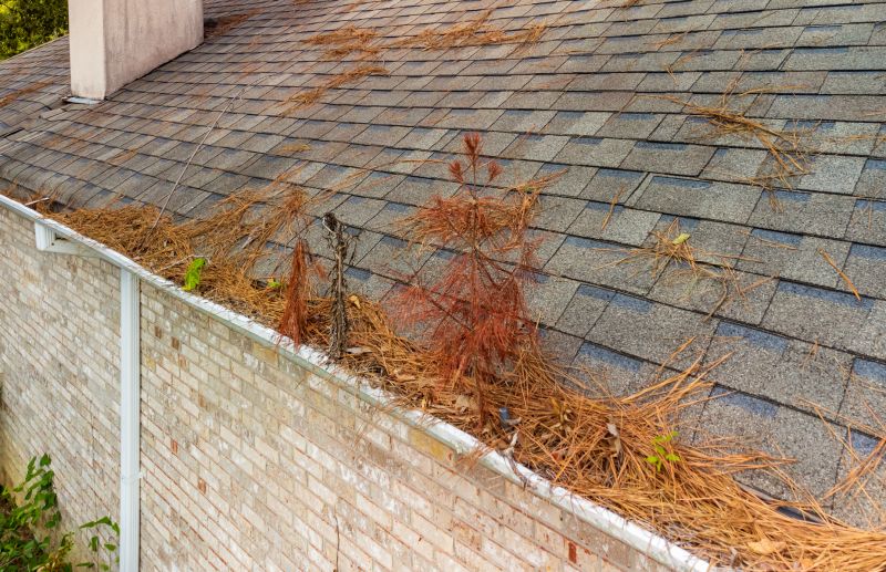 Gutter Pine Needle Removal in Morris County, NJ