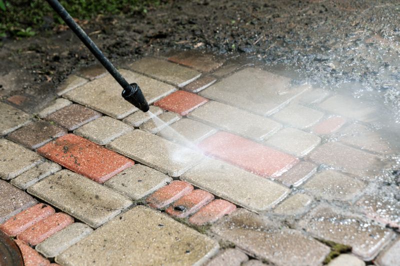 Paver Cleaning and Sealing