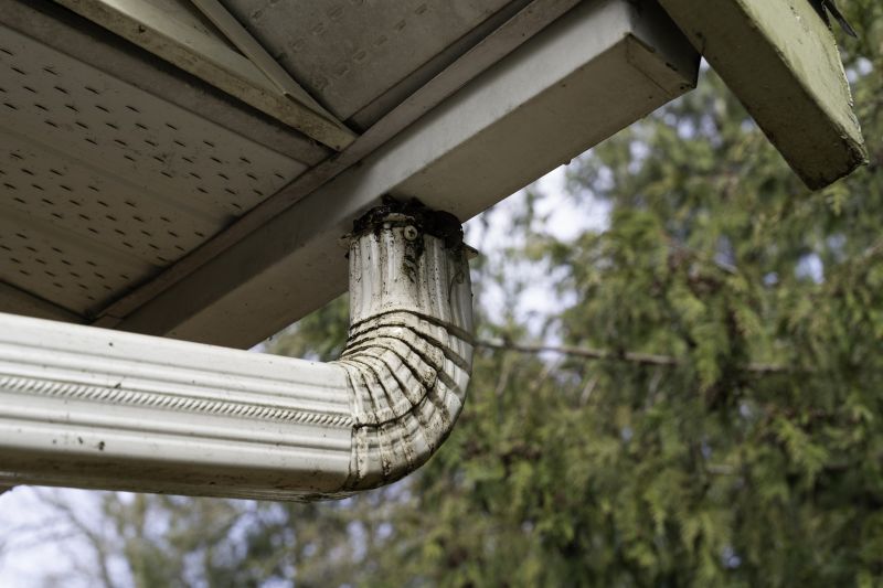 Downspout Blockage Removal in Westchester County, NY