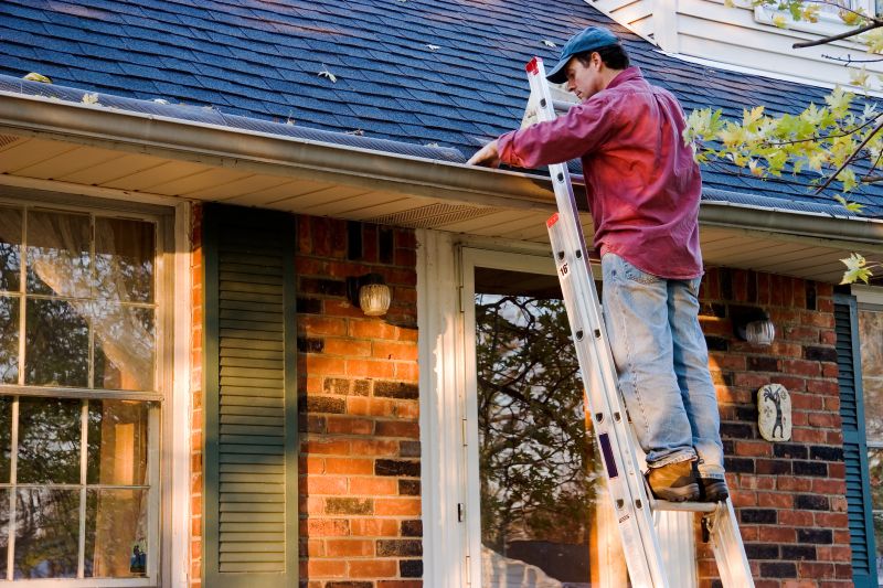 Garage Gutter Cleaning in Frederick, MD