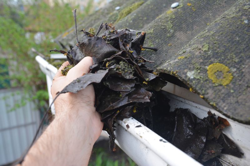 Garage Gutter Cleaning in Richmond, VA