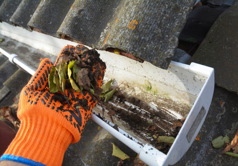 Gutter Cleaning in Richmond, VA