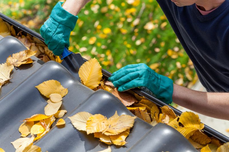 Gutter Leaf Clearing in Monmouth County, NJ
