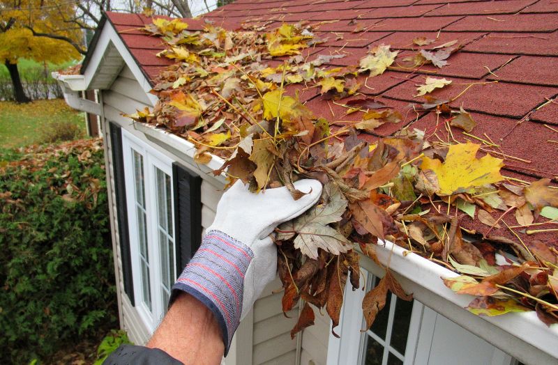Gutter Leaves Removal in Morris County, NJ