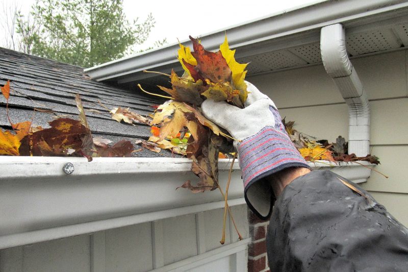 Gutter Leaves Removal in Rochester, NY