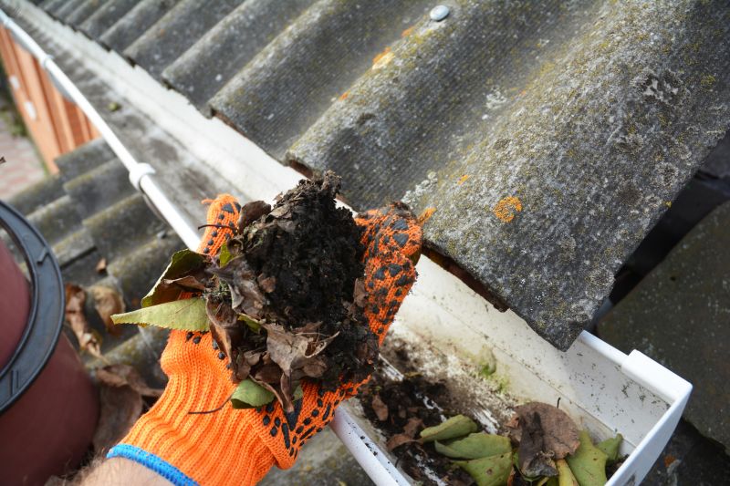 Gutter Pine Needle Removal in Fredericksburg, VA