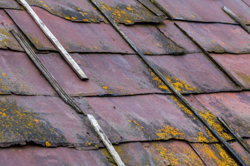 Roof Fungus Removal in Vancouver, WA