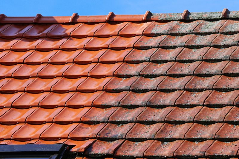 Roof Mold Cleaning in Vancouver, WA